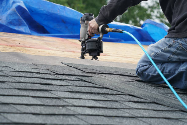 Best Metal Roofing Contractor  in Rainbow City, AL