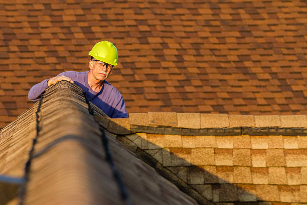 Best Storm Damage Roof Repair  in Rainbow City, AL